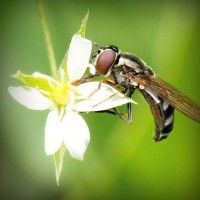 /album/www-smart-insurance-gr/photolia-a02-jpg/