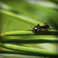/album/www-smart-insurance-gr/photolia-a05-jpg/